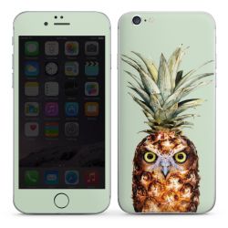 Hibou de l'ananas