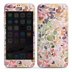 Feuillu Nature Campagne Eucalyptus