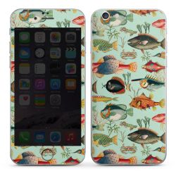 Foils for Smartphones matt