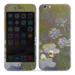 Foils for Smartphones matt