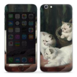 Foils for Smartphones matt