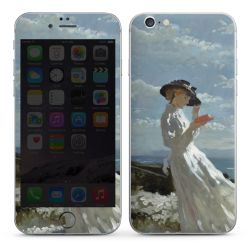 Foils for Smartphones matt