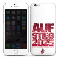 Folien für Smartphones matt