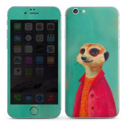 Foils for Smartphones matt