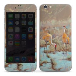 Foils for Smartphones matt