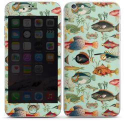 Foils for Smartphones matt