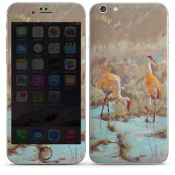 Folien für Smartphones matt