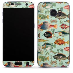 Foils for Smartphones matt