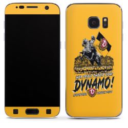 Folien für Smartphones matt