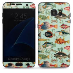 Foils for Smartphones matt