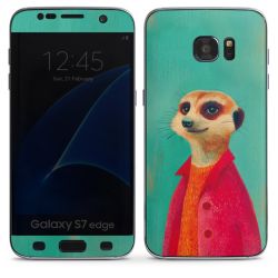 Foils for Smartphones matt