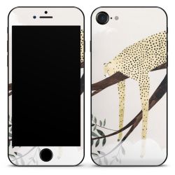 Foils for Smartphones matt