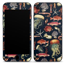 Foils for Smartphones matt