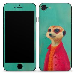 Foils for Smartphones matt