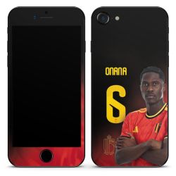 Foils for Smartphones matt