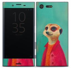 Foils for Smartphones matt