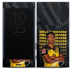 Foils for Smartphones matt