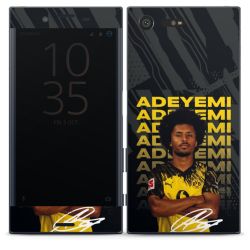 Foils for Smartphones matt