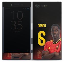 Foils for Smartphones matt