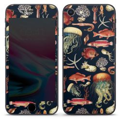 Foils for Smartphones matt