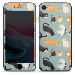 Foils for Smartphones matt