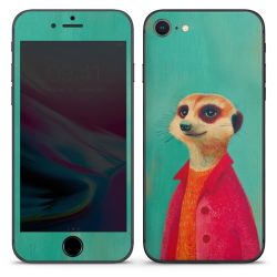 Foils for Smartphones matt