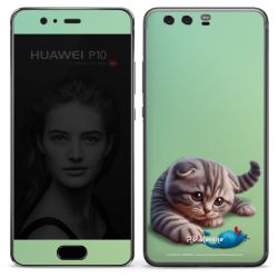 Foils for Smartphones matt