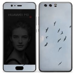 Foils for Smartphones matt