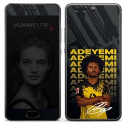 Foils for Smartphones matt