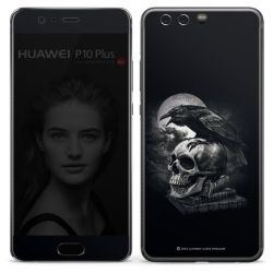 Poe's Raven
