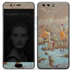 Folien für Smartphones matt