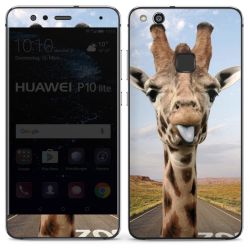 Foils for Smartphones glossy