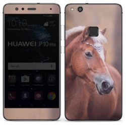 Folier Telefoner blank