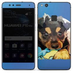 Foils for Smartphones glossy