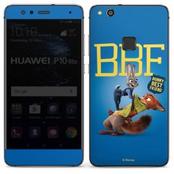 Foils for Smartphones glossy