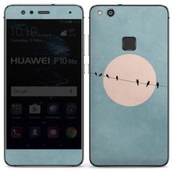 Foils for Smartphones glossy