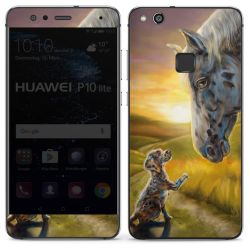 Foils for Smartphones glossy