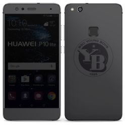 Foils for Smartphones glossy