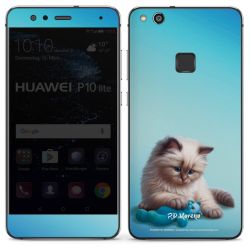 Foils for Smartphones glossy