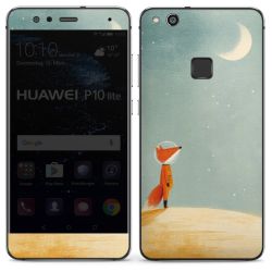 Foils for Smartphones glossy