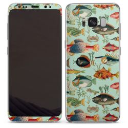 Foils for Smartphones matt