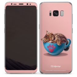 Foils for Smartphones matt