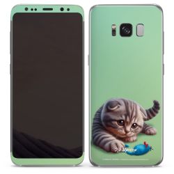 Foils for Smartphones matt