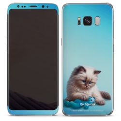 Foils for Smartphones matt