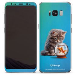 Foils for Smartphones matt