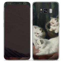 Foils for Smartphones matt