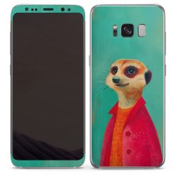 Foils for Smartphones matt