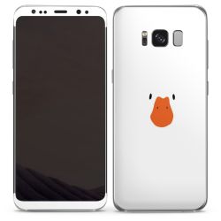 Foils for Smartphones matt