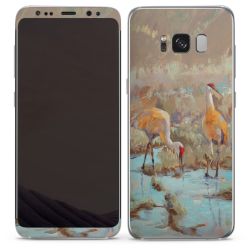 Foils for Smartphones matt