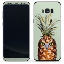Gufo ananas